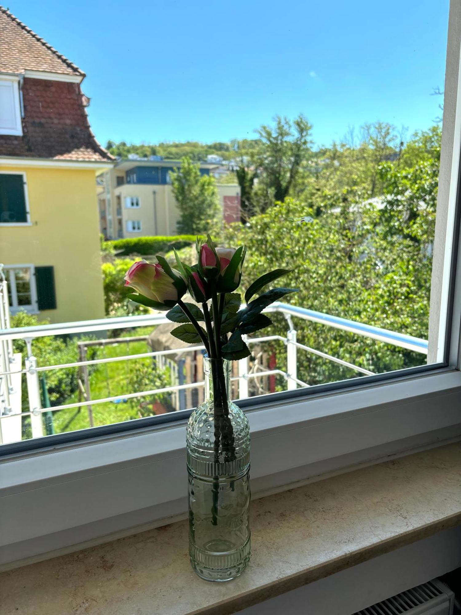 Gesamte Wohnung, Kueche, Parkplatz, Terrasse Бад-Беллинген Экстерьер фото